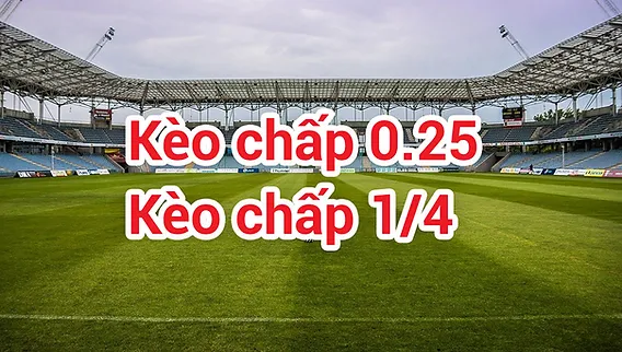 Kèo Chấp 1/4 Là Bao Nhiêu?